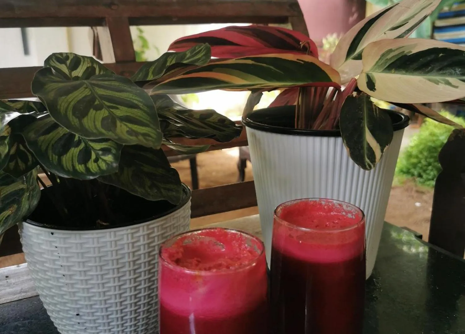 Jeehaa Homestay Alappuzha Hindistan