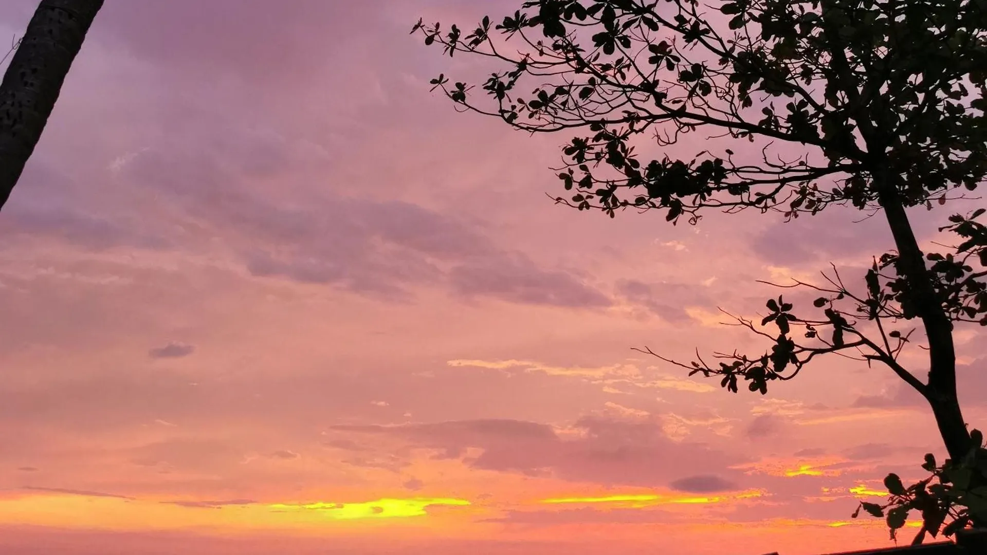 Oda ve Kahvaltı Jeehaa Homestay Alappuzha Hindistan