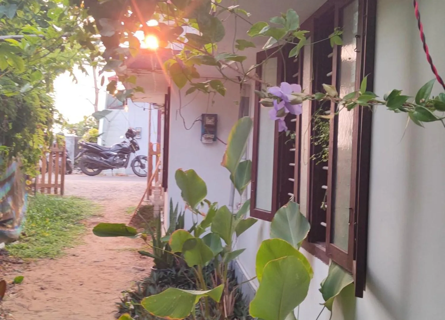 Jeehaa Homestay Alappuzha