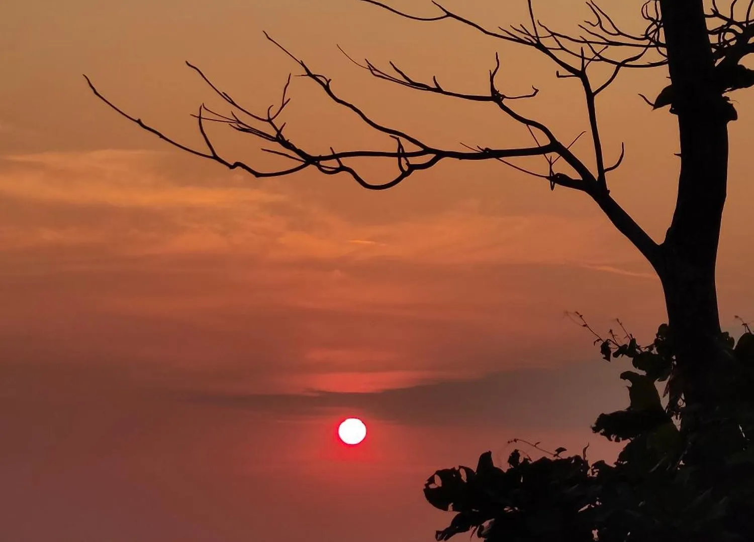 Jeehaa Homestay Alappuzha Hindistan